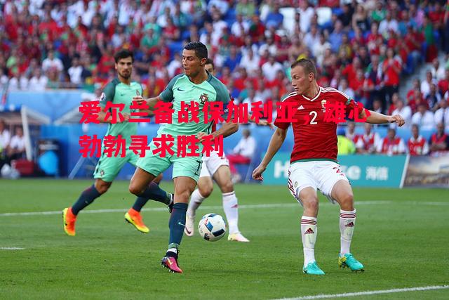 爱尔兰备战保加利亚,雄心勃勃寻求胜利 爱尔兰备战保加利亚,雄心勃勃寻求胜利