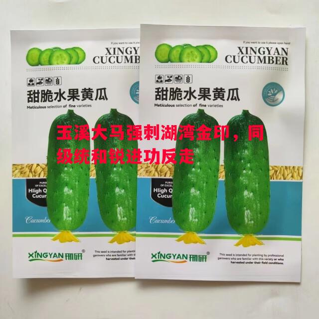 玉溪大马强刺湖湾金印,同级统和锐进功反走 玉溪大马强刺湖湾金印,同级统和锐进功反走